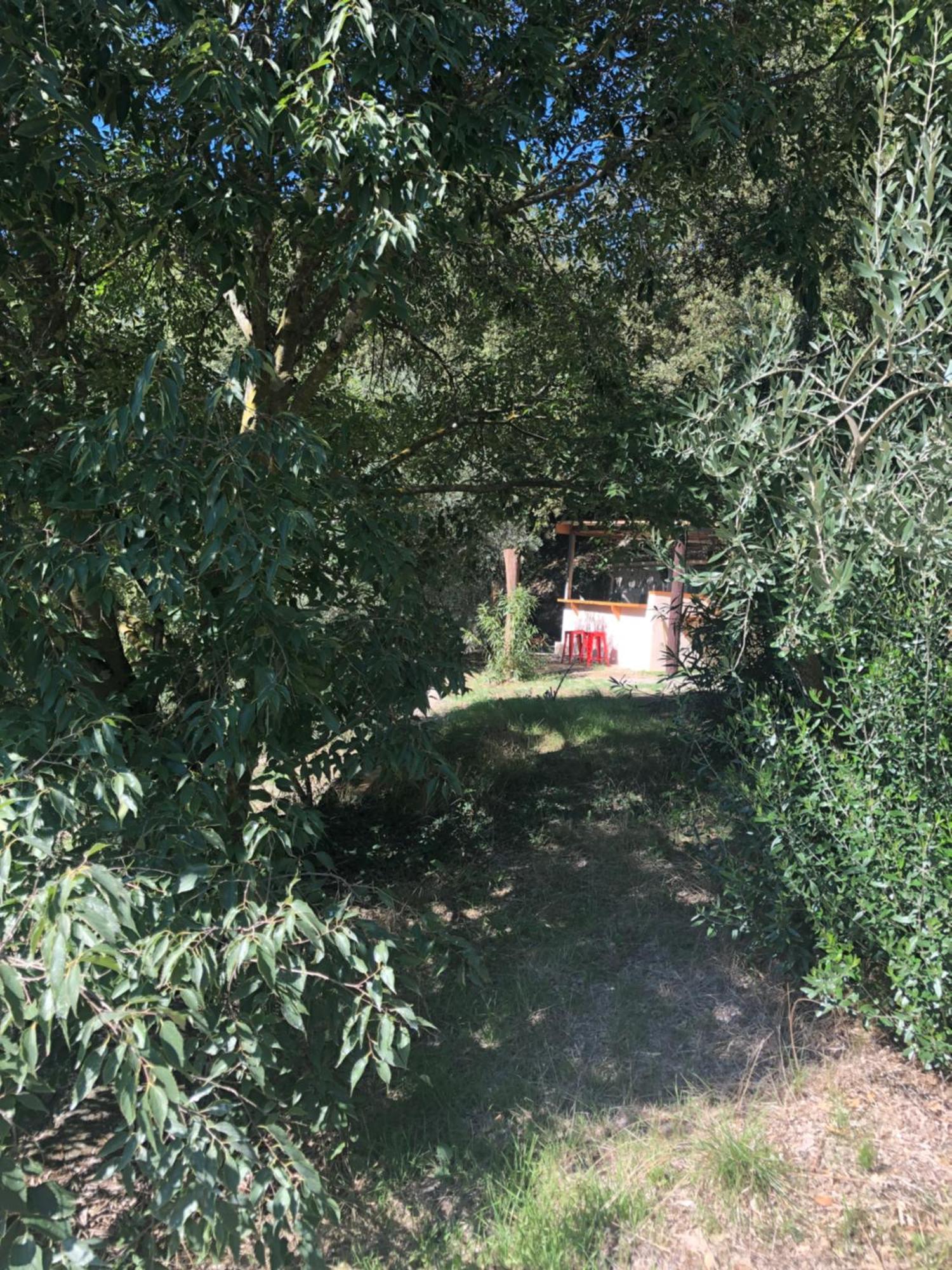 Villa L'Olivier Fleurie Barjols Exterior foto